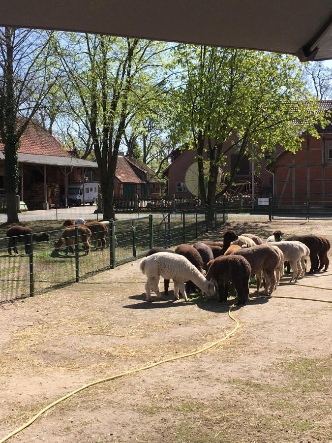 Ferienwohnung Bungenhof Alpacas 策勒 外观 照片